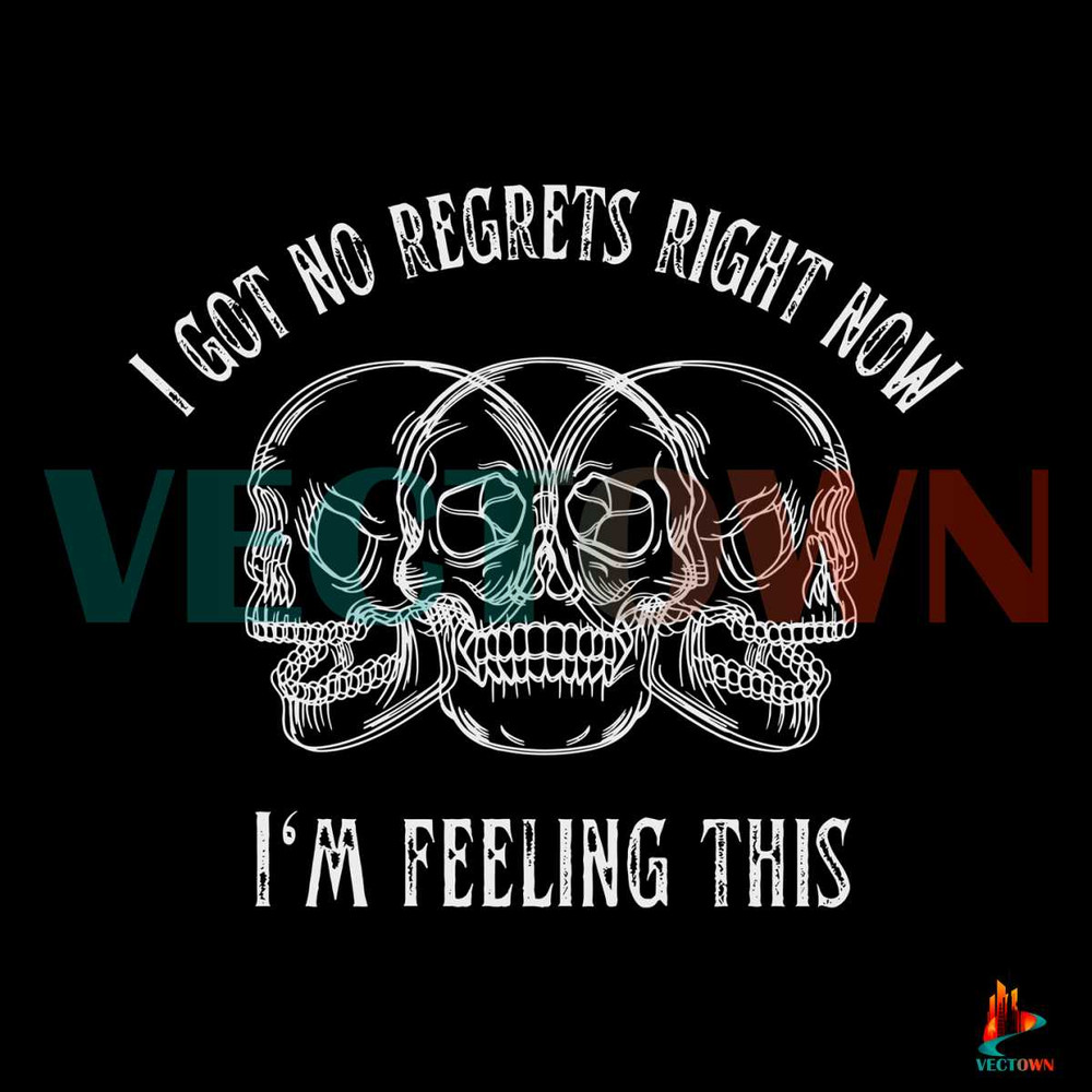 I Got No Regrets Right Now Blink 182 SVG Graphic Design File.jpg