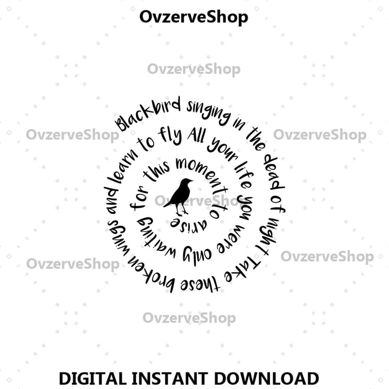 MR-ovzerve-shop-svg04072024br13-297202493038.jpeg