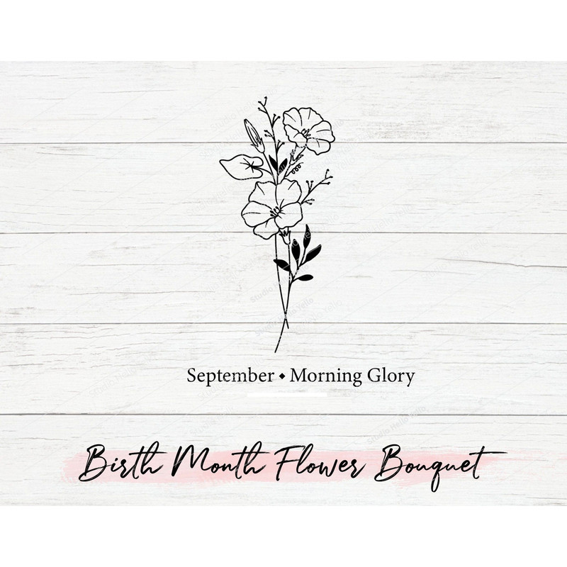 Birth Month Flower Bouquet Flower PNG Floral PNG Morning Glory 0
