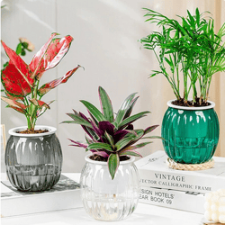 1Pc Self Watering Planter Pots Mini Pumpkin Shape Design Plastic Plant Pot Indoor Home Garden Modern Decorative Pot Supp