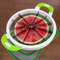 Fruits & Vegetables Slicer (5).jpg