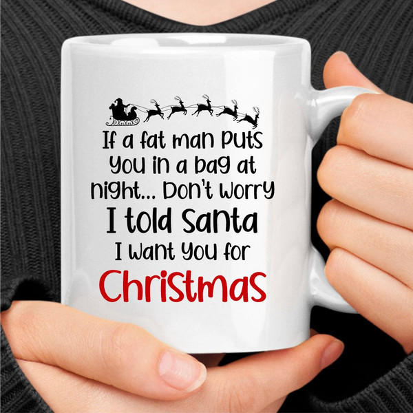 I Told Santa I Want You For Christmas Mug.jpg