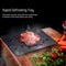 Fast Defrosting Tray For Frozen Foods 9