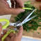 Kitchen Essentials Scissors (5).jpg