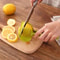 Food Slicing Tool Holder 1