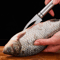 5 in 1 Multifunctional Shrimp Deveiner and Peeler Knife Tool2