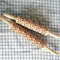 Christmas 3D Rolling Pin - Solid Maple Wood, Perfect for Holiday Baking, Great Gift for Bakers 4