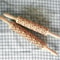 Christmas 3D Rolling Pin - Solid Maple Wood, Perfect for Holiday Baking, Great Gift for Bakers 4