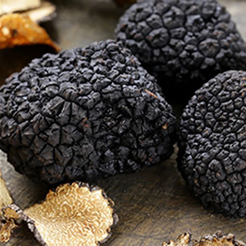 Shop Stainless Steel Grater for Cheese