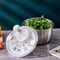 HighQuality Salad Spinner with Spinner Mechanism