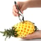Buy Stainless Steel Pineapple Slicer Seed Remover Clip