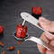 Professional Apple Corer Pitter