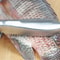 Stainless steel fish scraper