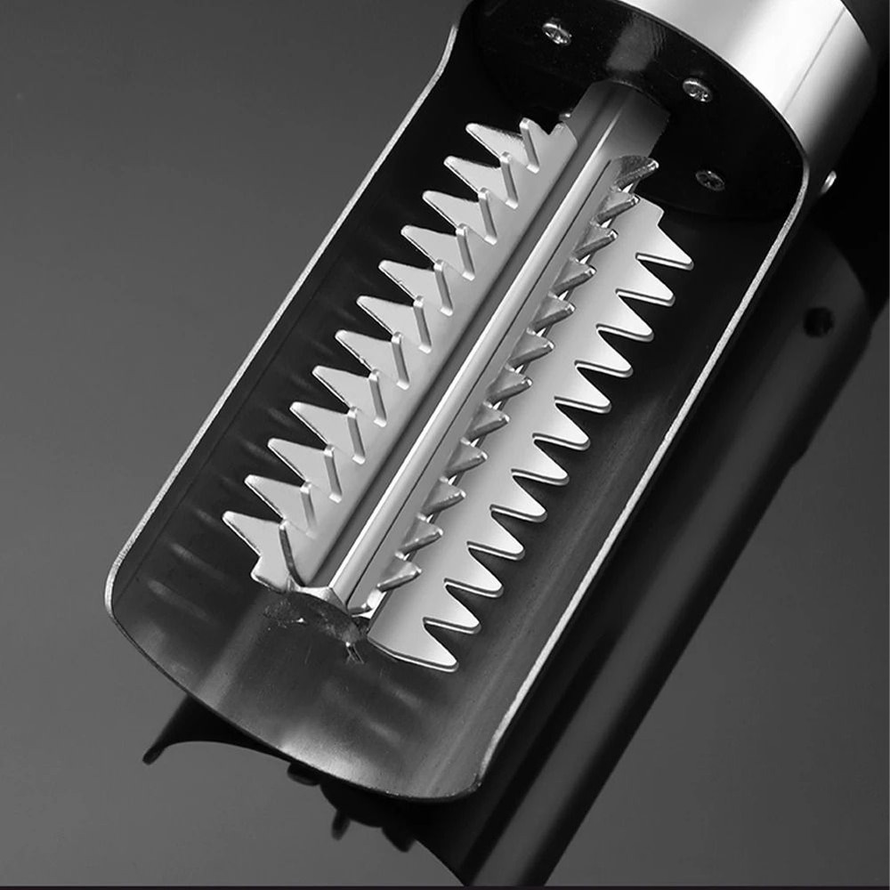 Cordless fish scale remover