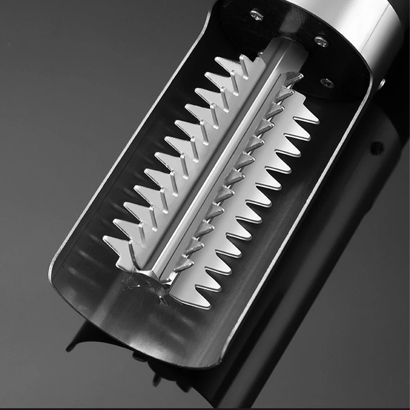 Cordless fish scale remover