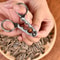Premium Stainless Steel Nut Cracker Hazelnut Pine Nut Melon Seed Opener 2
