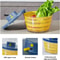 FastDrying Vegetable Fruit Washer