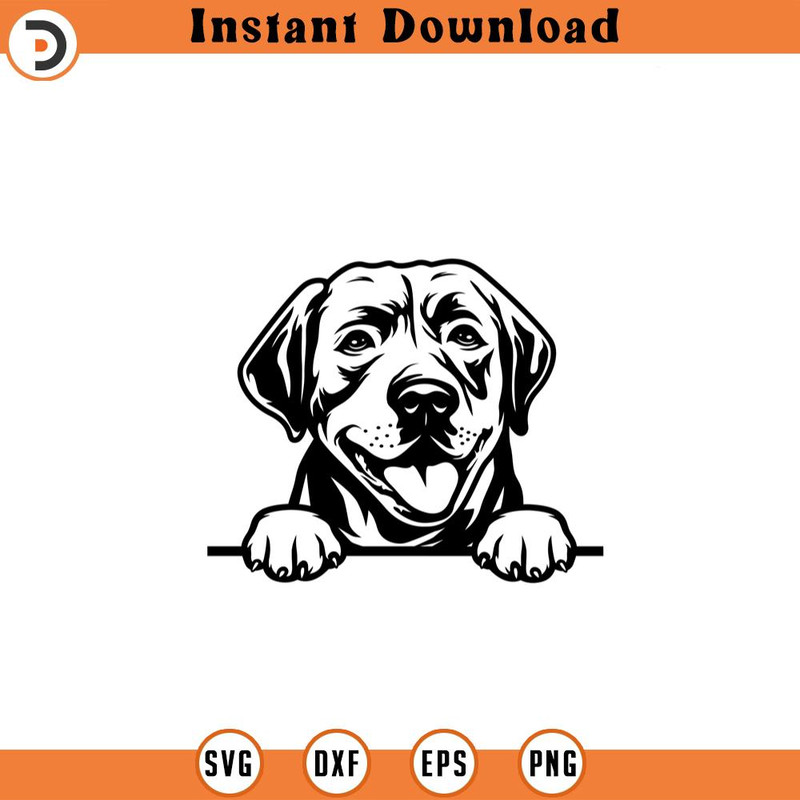 SVG210524426-Labrador Retriever Svg Labrador Svg Mans.jpg
