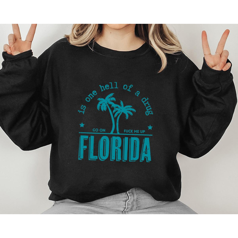 Florida Is One Hell Of A Drug Taylor Lyrics 3.jpg