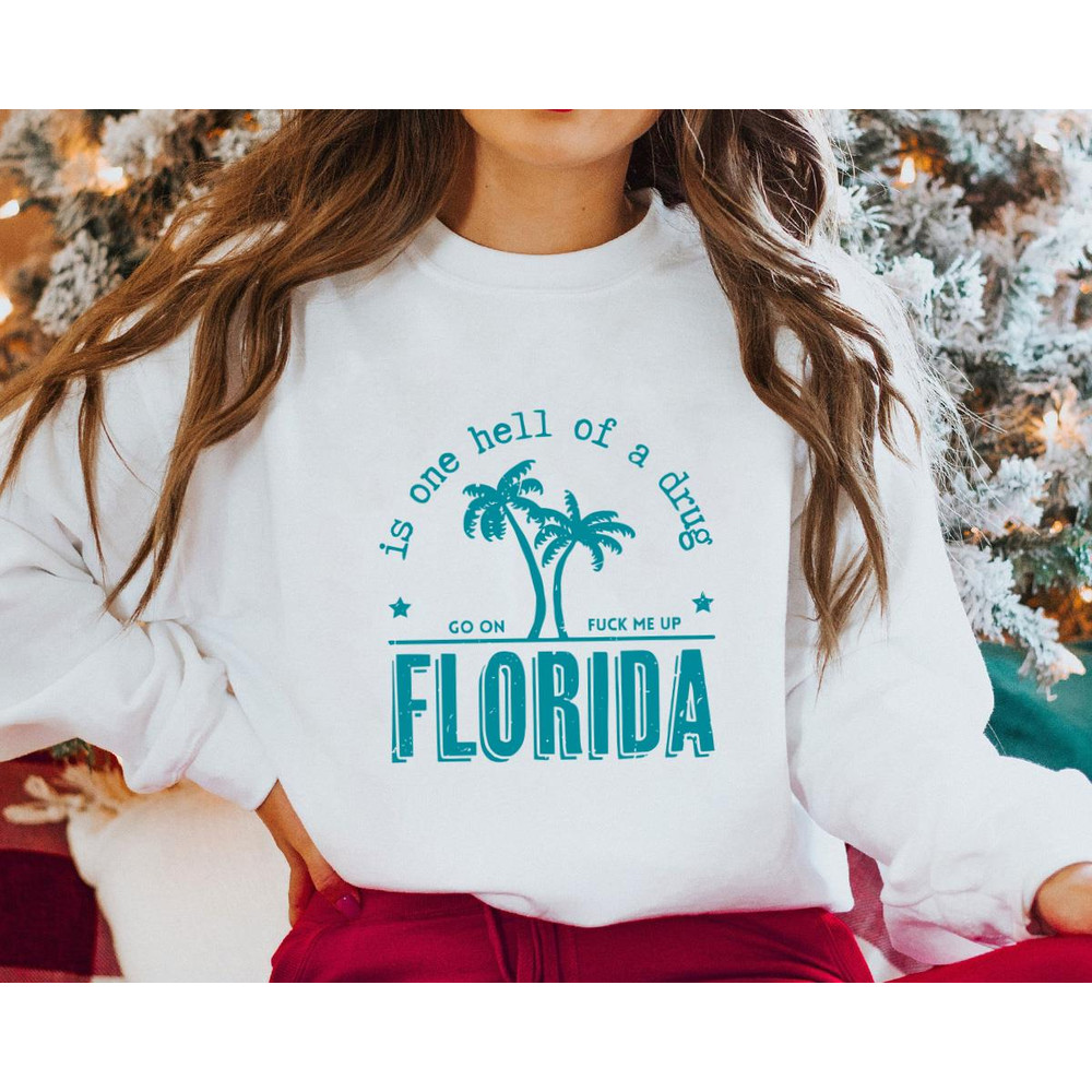 Florida Is One Hell Of A Drug Taylor Lyrics 4.jpg