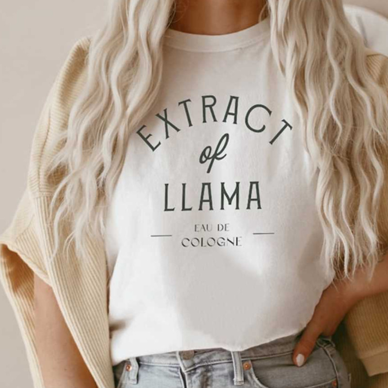 MR1582023144140extractofllamakuzcoemperorsnewgroovedisneyimage1jpg