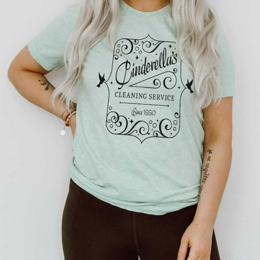 MR1582023141359cinderellascleaningserviceimage1jpg