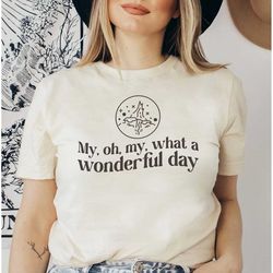 my, oh, my, what a wonderful day / splash mountain / disney inspired tee / disney inspired ride shirt