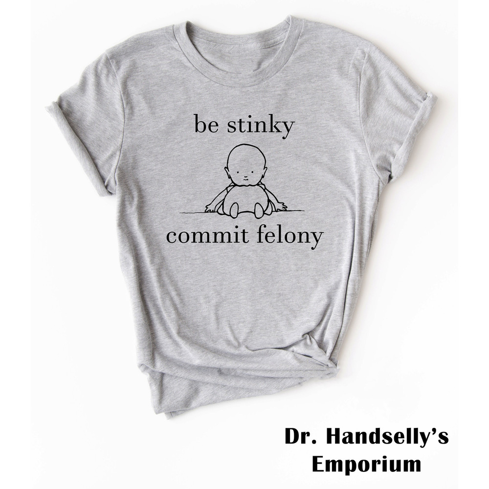 Be Stinky Commit Felony Shirt, Bella Canvas Funny T-shirt Tshirt Tee T Tees Meme Unisex Men Women Ladies Adult Sayings Sarcastic Tax Fraud.jpg