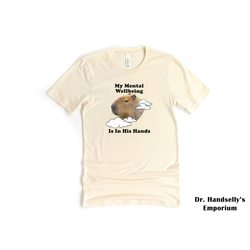 Funny Capybara Rodent Meme Shirt, Bella Canvas Funny T-shirt Tshirt Tee T Tees Meme Unisex Men Women Ladies Adult Animal Lover Graphic.jpg
