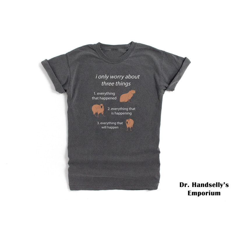 I Only Worry About Three Things Capybara Shirt Comfort Colors Funny T-shirt Tshirt Tee T Tees Meme Unisex Men Women Ladies Adult Gen Z.jpg