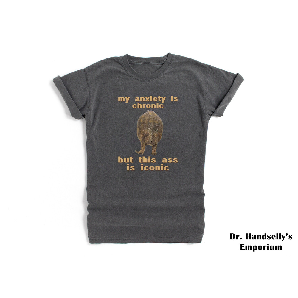 My Anxiety Is Chronic Shirt Comfort Colors Funny T-shirt Tshirt Tee T Tees Meme Unisex Men Women Ladies Adult Sayings Frog Butt Toad Iconic.jpg