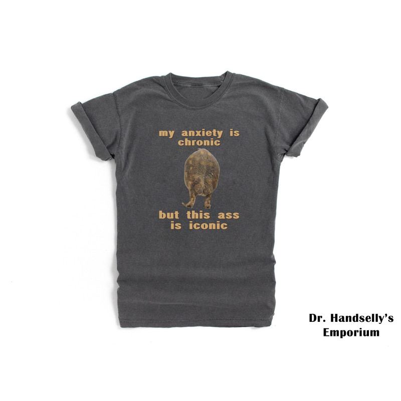 My Anxiety Is Chronic Shirt Comfort Colors Funny T-shirt Tshirt Tee T Tees Meme Unisex Men Women Ladies Adult Sayings Frog Butt Toad Iconic.jpg