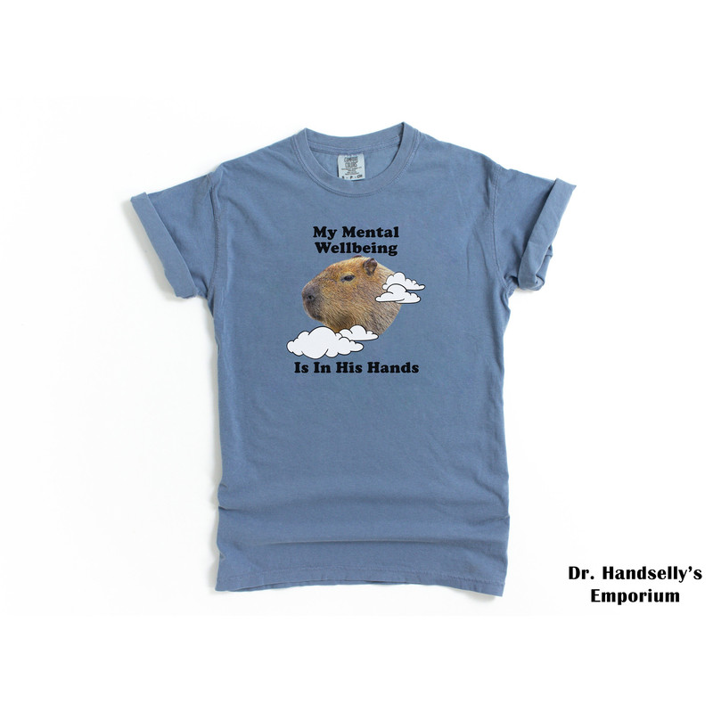 My Mental Wellbeing Is In His Hands Funny Capybara Shirt Comfort Colors T-shirt Tshirt Tee T Tees Meme Unisex Men Women Ladies Adult Anxiety.jpg