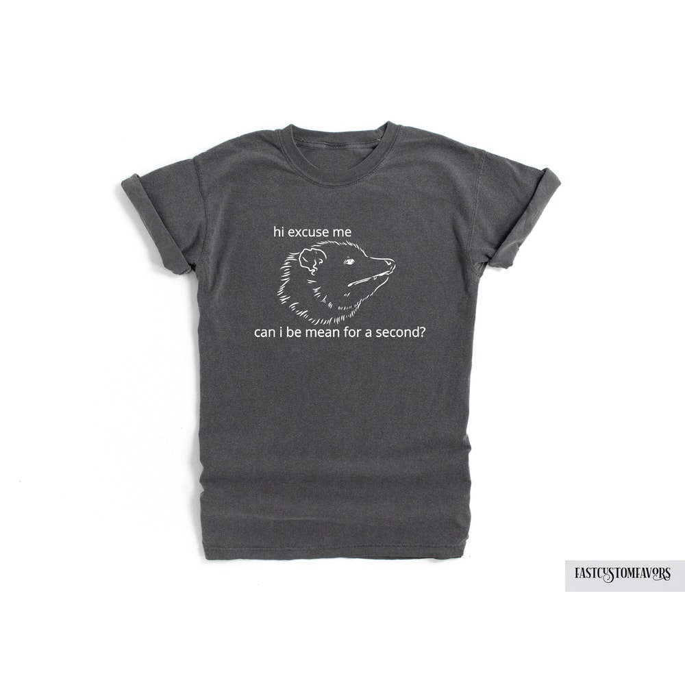 Opossum Shirt. Comfort Colors Funny T-shirt Tshirt Tee T Tees Meme Unisex Men Women Ladies Meme. Hi Excuse Me Can I Be Mean for a Second.jpg