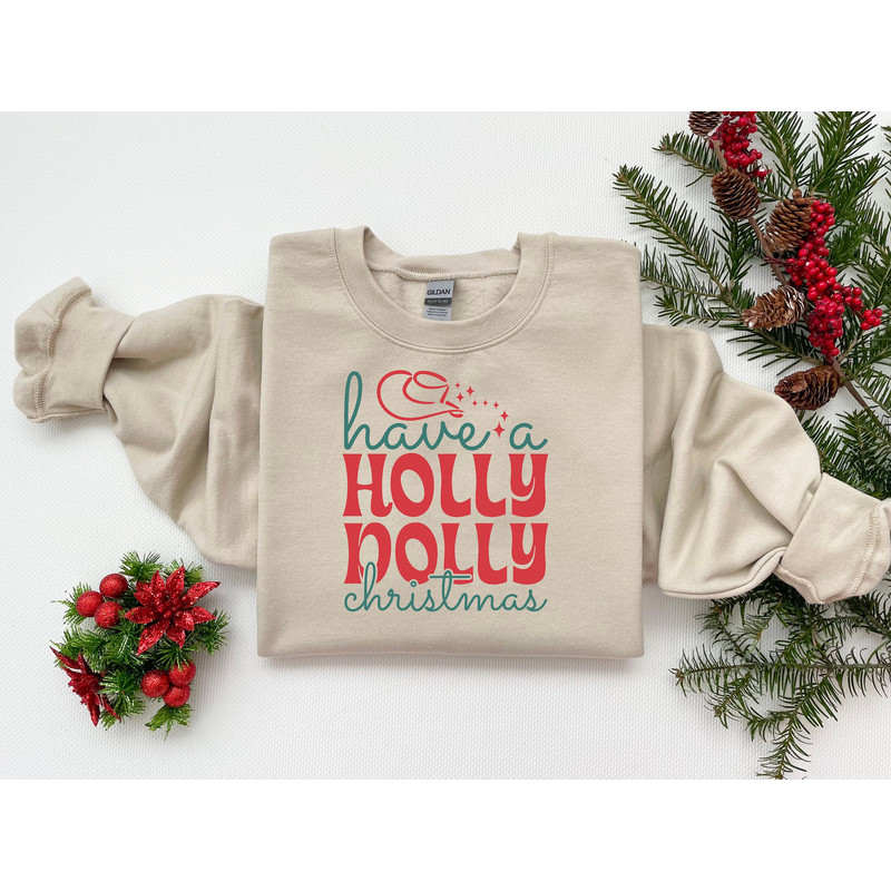 Have A Holly Jolly Christmas Shirt, Funny Christmas Sweatshirt, Most Wonderful Time Of The Year, New Year Tshirt, Xmas Family Shirt Gift.jpg