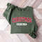 Retro Christmas Spirit Sweatshirt, Womens Christmas Crewneck, Holiday Sweater, Cute Christmas Sweatshirt, Christmas Gift, Winter Shirt.jpg