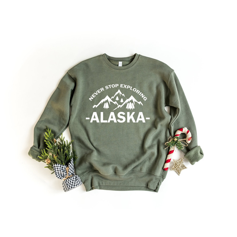 Alaska Cruise Hoodie, Family Cruise Shirt, Cruise Squad Shirt, Vacation Shirt, Matching Cruise, Alaska Family Trip, Alaska Trip Sweatshirt.jpg