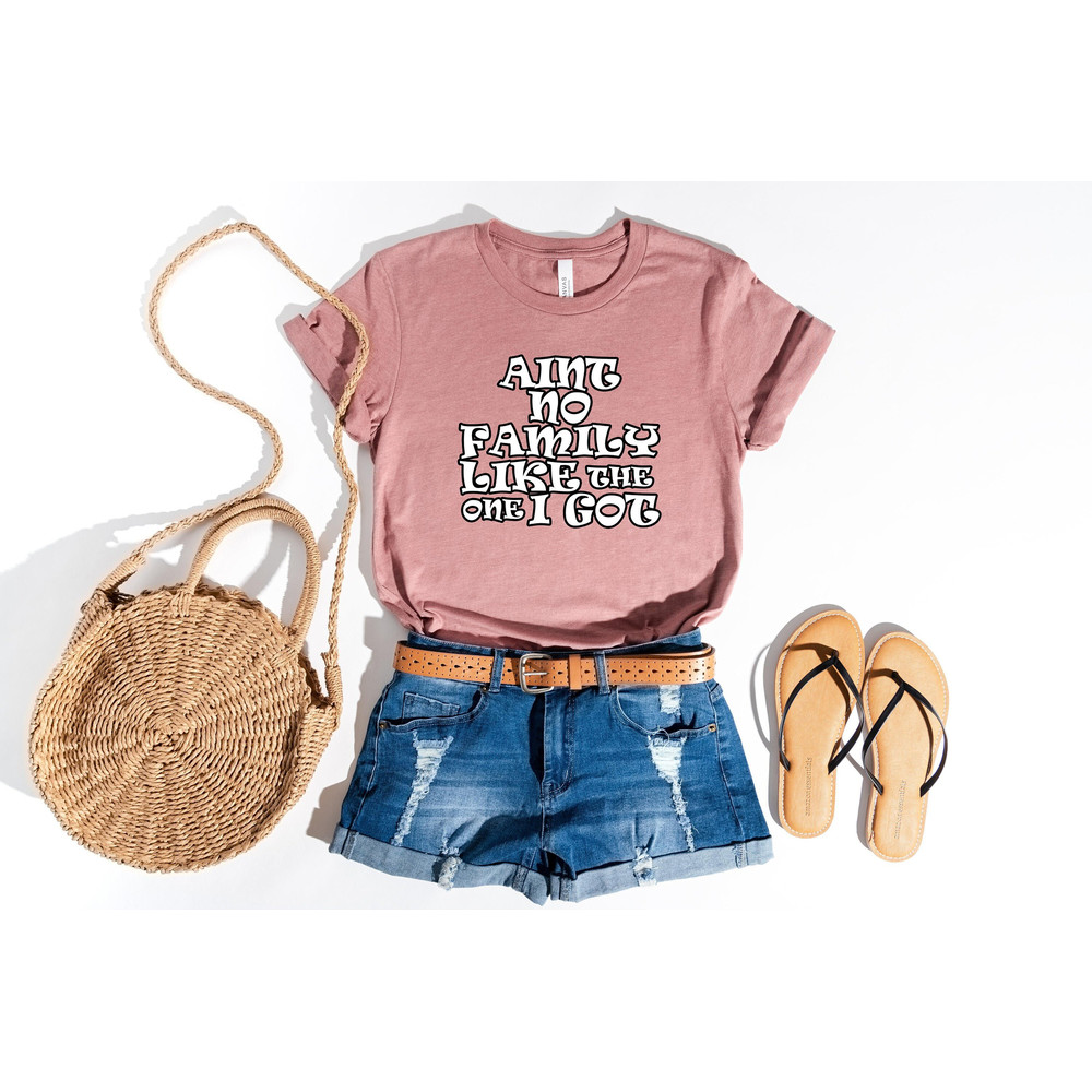 Family Shirt, Ain't No Family Like The One I Got Tee, Family Reunion Shirt, Family Gift Ideas, Matching Family Tshirt, Family Vacation Shirt.jpg