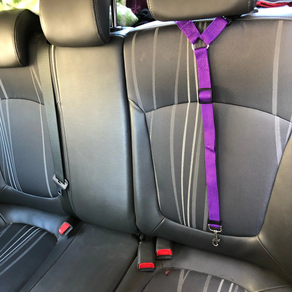 pXC8Solid-Color-Two-in-one-Pet-Car-Seat-Belt-Nylon-Lead-Leash-Backseat-Safety-Belt-Adjustable.jpg
