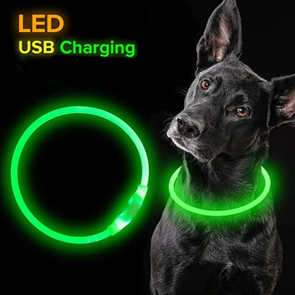PGEtLed-Light-Dog-Collar-Detachable-Glowing-USB-Charging-Luminous-Leash-for-Big-Cat-Collar-Small-Bright.jpg