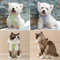 mTgzPuppy-Cat-Harness-with-Leash-Breathable-Waffle-Pet-Vest-Clothes-for-Small-Mid-Dogs-Cats-Harness.jpg
