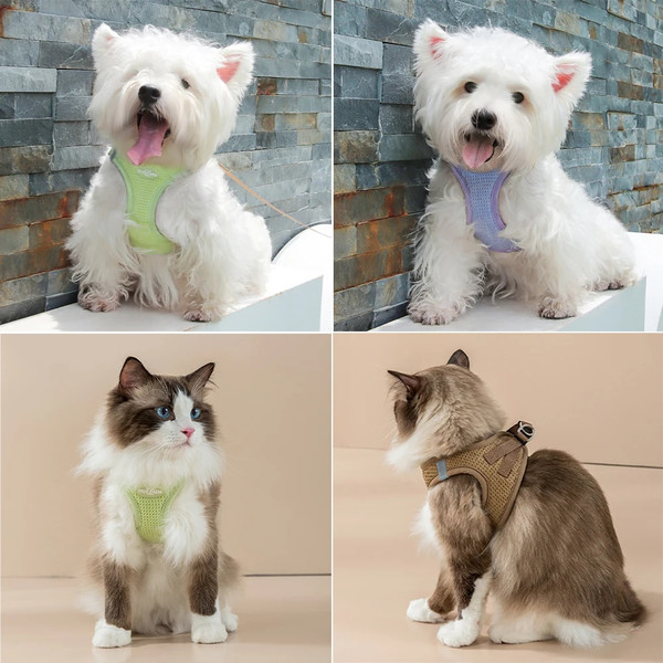 mTgzPuppy-Cat-Harness-with-Leash-Breathable-Waffle-Pet-Vest-Clothes-for-Small-Mid-Dogs-Cats-Harness.jpg
