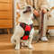 mcOMPet-Dog-Harness-Reflective-Adjustable-Breathable-Dog-Vest-Harness-for-Small-Medium-Large-Dogs-Cat-Dog.jpg