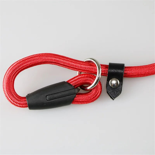 J1Ys130cm-Sturdy-Nylon-Pet-Dog-Round-Rope-Lead-Adjustable-Dog-Collar-Leash-for-Small-Dogs-Training.jpg
