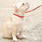 Uxhe130cm-Sturdy-Nylon-Pet-Dog-Round-Rope-Lead-Adjustable-Dog-Collar-Leash-for-Small-Dogs-Training.jpg