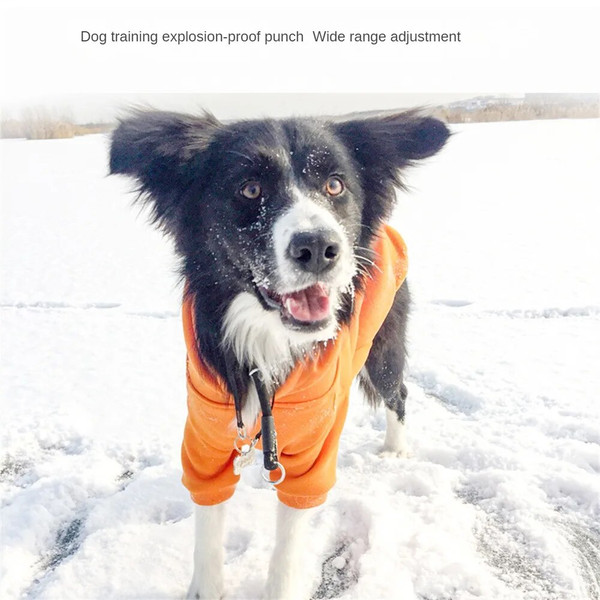 w7DKPet-P-Chain-Nylon-Collar-Dog-Training-Accessories-Adjustable-Size-Big-Dog-Collar-Harness-Outdoor-Training.jpg
