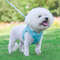 RbAlAdjustable-Dog-Harness-No-Pull-Puppy-Cat-Winter-Warm-Harnesses-Lead-Leash-French-Bulldog-Chihuahua-Collar.jpg