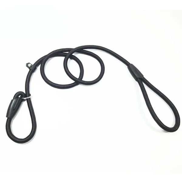 FXJBPet-Leash-Nylon-Dog-Leash-Pet-Puppy-Slip-Lead-Rope-Dog-Slip-Leash-Chain-Collar-Adjustable.jpg