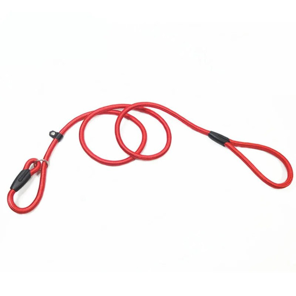 qUCCPet-Leash-Nylon-Dog-Leash-Pet-Puppy-Slip-Lead-Rope-Dog-Slip-Leash-Chain-Collar-Adjustable.jpg