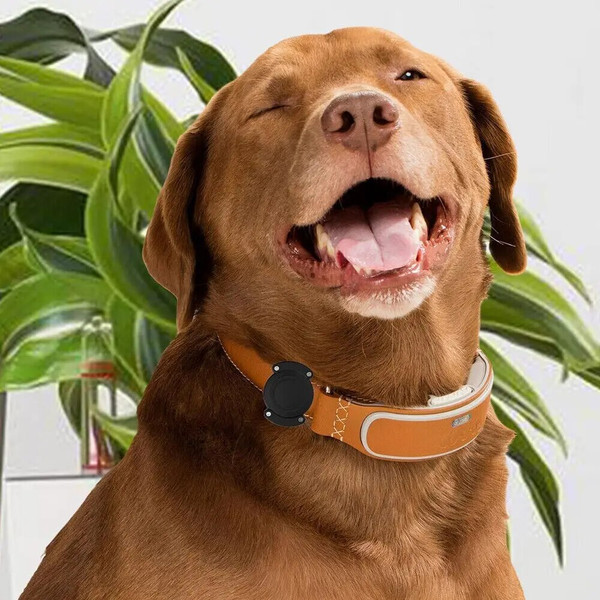 AEBgFashion-Dog-Collar-With-Apple-Air-tag-Case-Nylon-Pet-Collar-Reflective-Soft-Anti-lost-Tracking.jpg